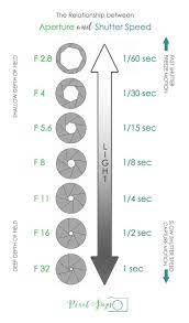 Need Some Photography Tips Get Your Exposure Cheat Sheet Camera Exposure Meaning In Plain English Dicas De Fotos Guia De Fotografia Tutoriais De Fotografia