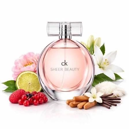 Calvin Klein Euphoria