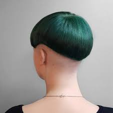 Bowlcut Wild Hair Color Thick Hair Styles Short Hair Styles