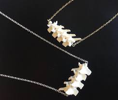 See more ideas about thoracic vertebrae, thoracic, vertebrae. Ø¨Ø§Ù„Ø§Ø³Ù… Ø·ÙŠØ¨ Ø§Ù„Ø±Ø§Ø¦Ø­Ø© Ø§Ù„Ø¨ÙŠØ±Ø© Bone Necklace Outofstepwineco Com