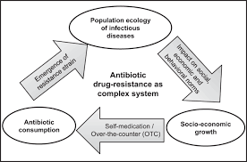 Learn how to write an amazing modern united nations position paper. Antibiotic Drug Resistance As A Complex System Driven By Socio Economic Growth And Antibiotic Misuse Scientific Reports