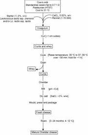 cheddar cheese sciencedirect