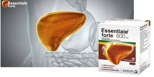 Essentiale forte cps 600mg n30. Dalyvauja Vertinamas As Manau Essentiale Forte 600 Wonderfullymadefamily Com