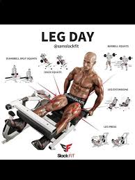 Www Fiverr Com Workout Plan Gym Workout Guide Gym Workouts