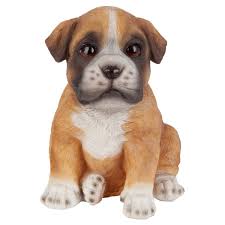 Boxer dogs are more prone to congenital heart disease than other breeds of dog, in particular restricted blood flow from the heart to the body, holes between the chambers of the heart, and weakness of the valves which prevent blood flowing back in the wrong direction. Outdoor Boxer Dog Statues Wayfair