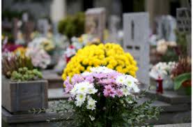 What to write in a sympathy card. What To Write On Funeral Flowers And Sympathy Cards Flower Delivery Hamilton Ontario