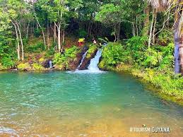 Tourism Guyana - Rupununi region #9 The name of the hidden oasis by locals is "Clear Water or blue pool" and it's located between Hiawa and Moco Moco village, central Rupununi .