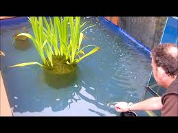 Upside Down Fish Tank On Pond Fish Tank Fish Tank Garden Fish Ponds