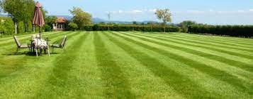 Total lawn care & more's trained professional staff has your specific landscaping needs in mind. Total Lawn Care Total Lawn Care