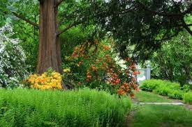 Garten.de ist die ideale plattform für alle hobbygärtner. Schlichtmann Kiewisch Garten Und Landschaftsbau Gmbh