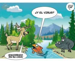 Como Debe Ser Afuera Hacemos Mucho Dano A La Naturaleza En 2020 Memes Divertidos Instagram Amor Animal