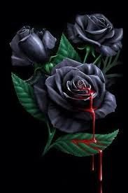 Black And Purple Roses Pin By Katrina Sample On Art Black Rose Flower Rose Wallpaper Rose Art