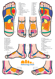 map by eunice ingham every organ in the body has its reflex