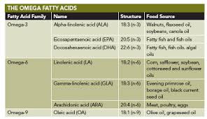 Ingredients And Formulation Understanding Omega 3 Fatty Acids