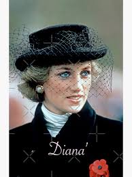 HRH Princess Diana France 1988 High Quality Pro Image Sticker
