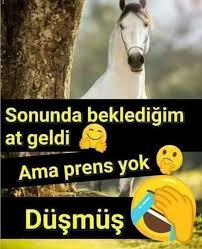 Sans Iste 2020 Komik Cocuklar Akrostis Siirler Komik Alintilar