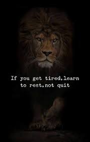 Avon Rep Tip Never Quit Lion Quotes Warrior Quotes Fighter Quotes