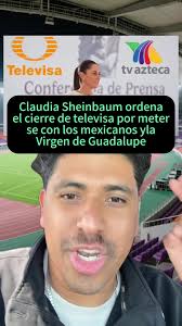 Defending the Virgin of Guadalupe: Key Insights