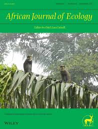 Image result for Rytigynia bridsoniae