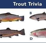 Can you tell these different trout species apart? Take your ...