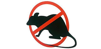 Facile à trouver en magasin ou sur internet; Decouvrez Mon Comparatif Et Mes Tests De Mort Au Rat