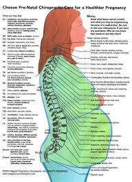 Pin On Chiropractic
