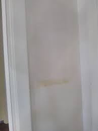 Wipe the wallpaper paste gently with a damp cloth if the paste is not completely dried. Bleed Through The Wallpaper Lady S Blog