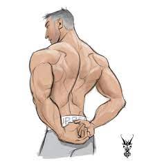 Below are three of the best back workouts for men and women that you can do whether you work out in a gym, at home with a set of dumbbells, or. David Ardinaryas Lojaya Back Muscle Study Art Muscle Backmuscle Characterde Cartoon Drawing Reference Character Design Illustration Character Design
