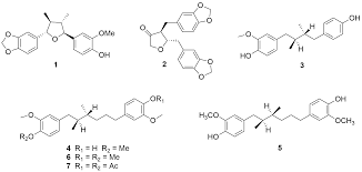 Image result for Pycnanthus