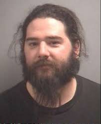 South Elgin man guilty of resisting police