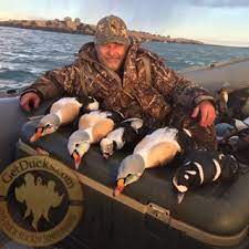 New duck hunter planning 1st arkansas duck hunt Alaska King Eider Hunting Ramsey Russell S Getducks Com