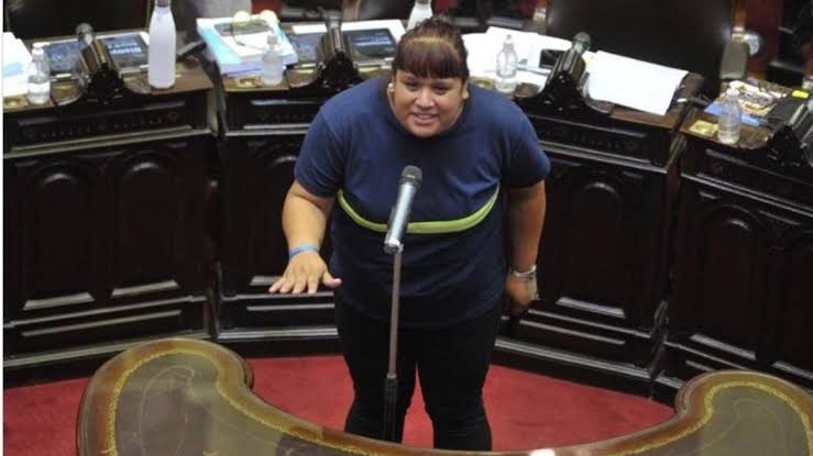 Asumió como diputada nacional Natalia Zaracho, una dirigente de  organización cartonera - elDiarioAR.com