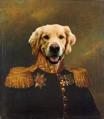 Custom Pet Portrait From Photo Royal Pet Portrait Etsy Custom Pet Portraits Dog Canvas Painting Pet Portraits