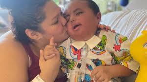 Fundraiser by Jennifer Fisk : Fund Jorge's Final Farewell