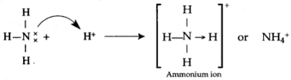 Maybe you would like to learn more about one of these? Explain The Formation Of H3o And Nh4 Ion Studyrankersonline