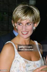 428 Us Auction Princess Diana Stock Photos, High-Res Pictures, and Images