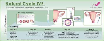 I'm thinking of getting a cat, and i'm wondering how much it costs to keep a healthy happy cat per month? Our Ivf Costs Cheapest Ivf Treatment In The Usa