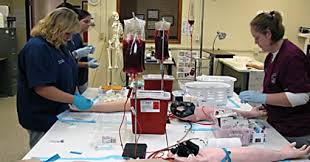 Offering online training courses has gotten easier than ever thanks to a multitude of platforms that assist you in creating and selling your courses on the internet. What Are The Phlebotomy Training Basics Phlebotomy Examiner