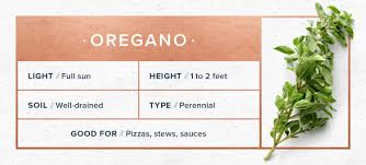 We did not find results for: Indoor Herb Garden Everything You Need To Know Proflowers