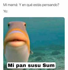 Pin De Nathalia Regardiz En Memes Xd Memes Famosos Memes Buenisimos Memes Graciosos