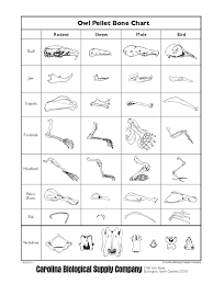 Owl Pellet Bone Char Grid 2018