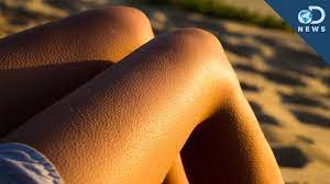 When you get a chill, your skin will form these dumb. Why Do We Get Goosebumps Youtube