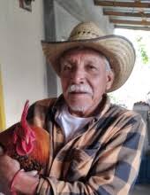 Obituary information for Pedro Montoya Gutierrez