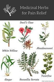 Pin On Pain Relief