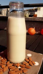 Faire Son Lait Vegetal Maison Rien De Plus Simple Alterrenatif