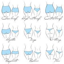 Illustration of the design and variety of women's panties. Hand-drawn  lingerie models. Panties are classified into various styles based on  criteria. 8382720 Vector Art at Vecteezy