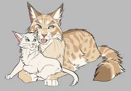 Climb Warrior Cats Art Warrior Cats Fan Art Warrior Cat Memes