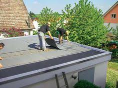 Dachbegrunung Anlage Pflege Und Kosten In 2020 Dachbegrunung Dach Carport Terrasse