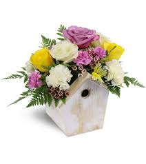 Home shopping cart account international deliveries search. Birdhouse Of Blooms Lakeland Fl Florist