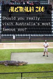 What To See At Australia Zoo When You Don T Have Much Time Visit Australia Australia Australia Vacation